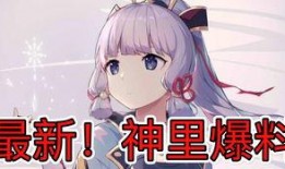 原神后续最新爆料,神秘新角色登场，探索未知领域！